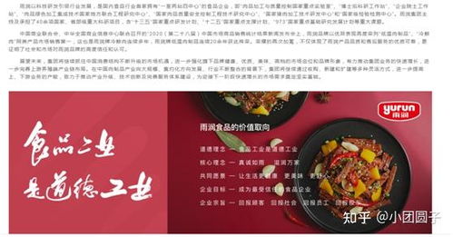 江苏知名食品企业网络营销策略与食品销售分析报告