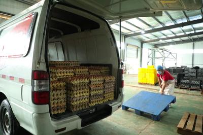 河南睢县 培育“新农人”，筑起“兴农路”食品销售新篇章